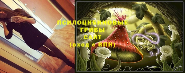 СК Алексин